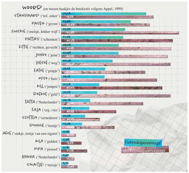 Hoe straattaal heel Nederland veroverde