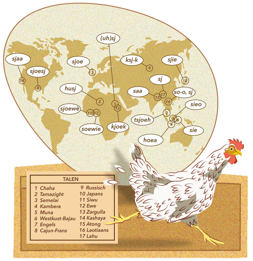 wegjaagwoorden voor kippen in ene infographic